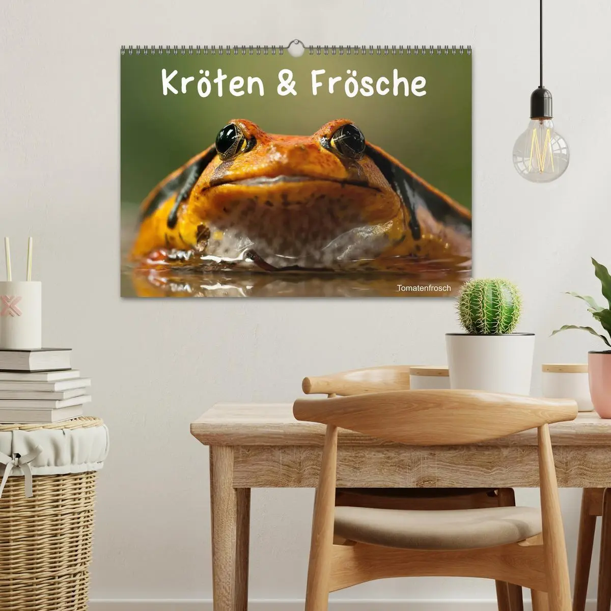 Bild: 9783516146912 | Kröten &amp; Frösche (Wandkalender 2026 DIN A3 quer), CALVENDO...