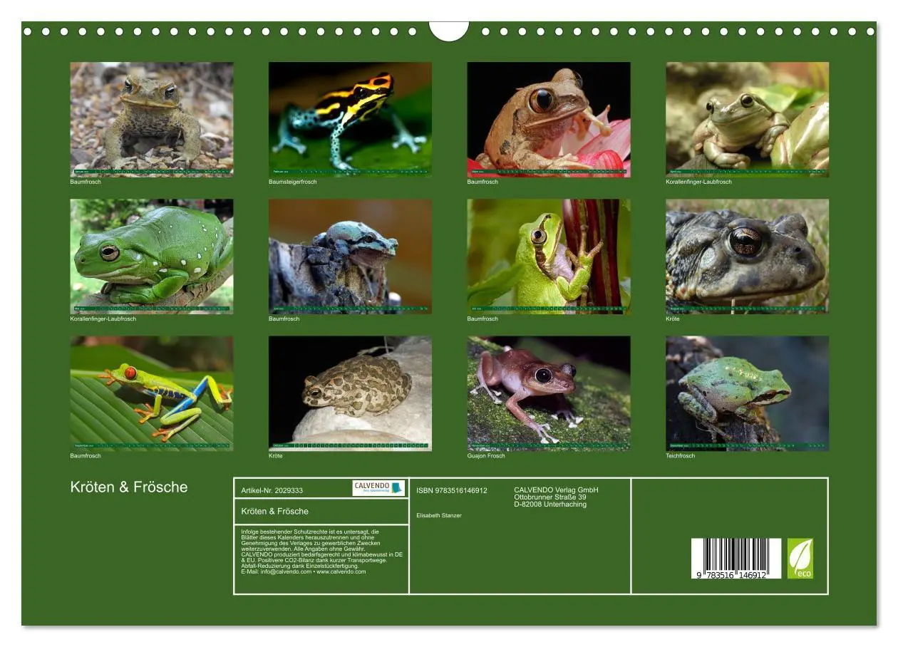 Bild: 9783516146912 | Kröten &amp; Frösche (Wandkalender 2026 DIN A3 quer), CALVENDO...