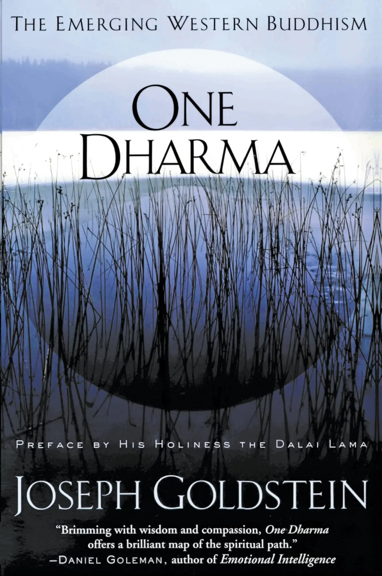 Cover: 9780062517012 | One Dharma | The Emerging Western Buddhism | Joseph Goldstein | Buch
