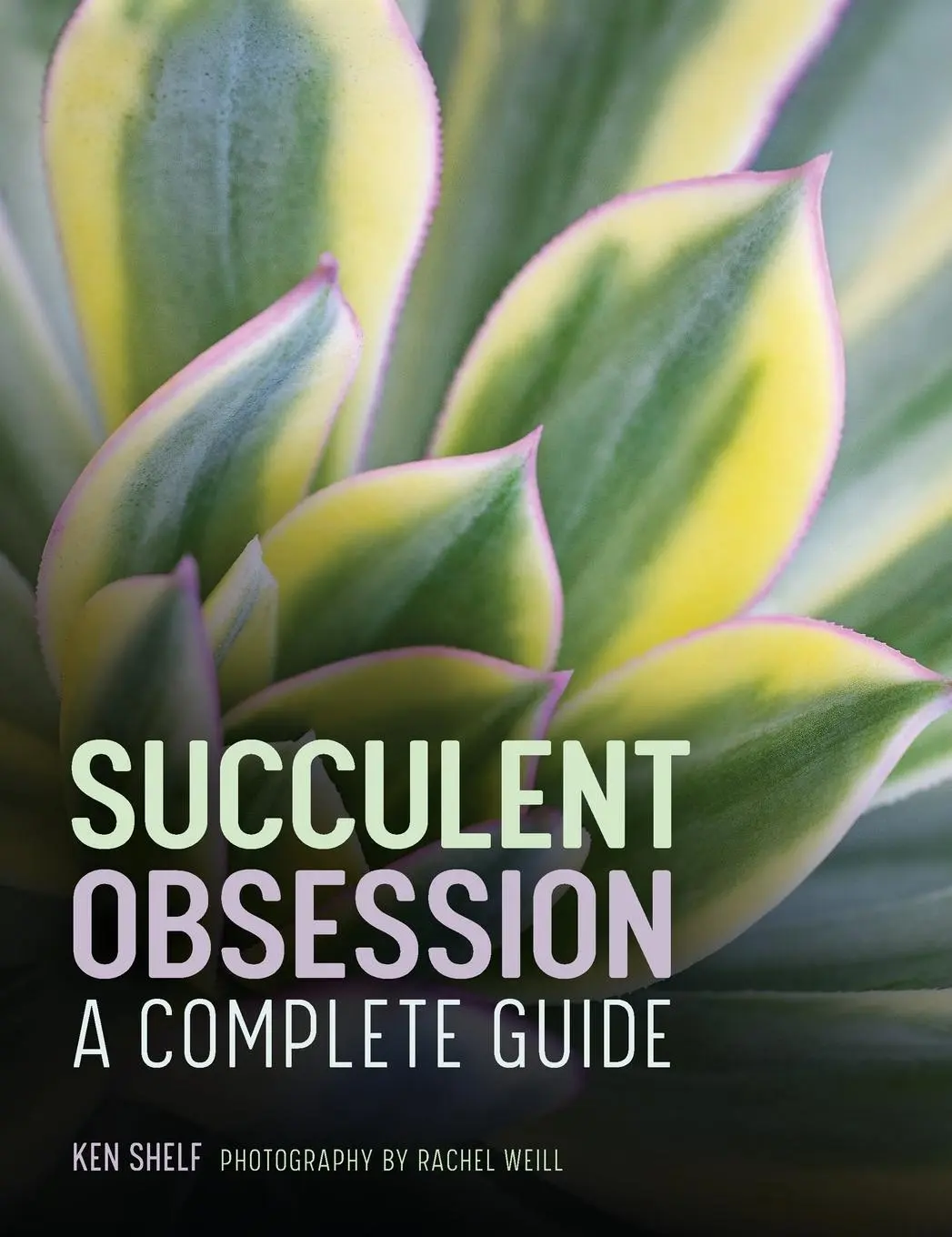 Cover: 9781685397012 | Succulent Obsession | A Complete Guide | Ken Shelf | Buch | Gebunden