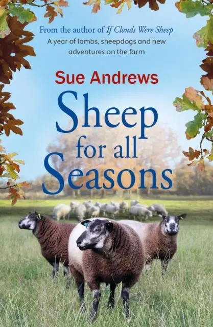 Cover: 9781915067012 | Sheep For All Seasons | Sue Andrews | Taschenbuch | Englisch | 2021