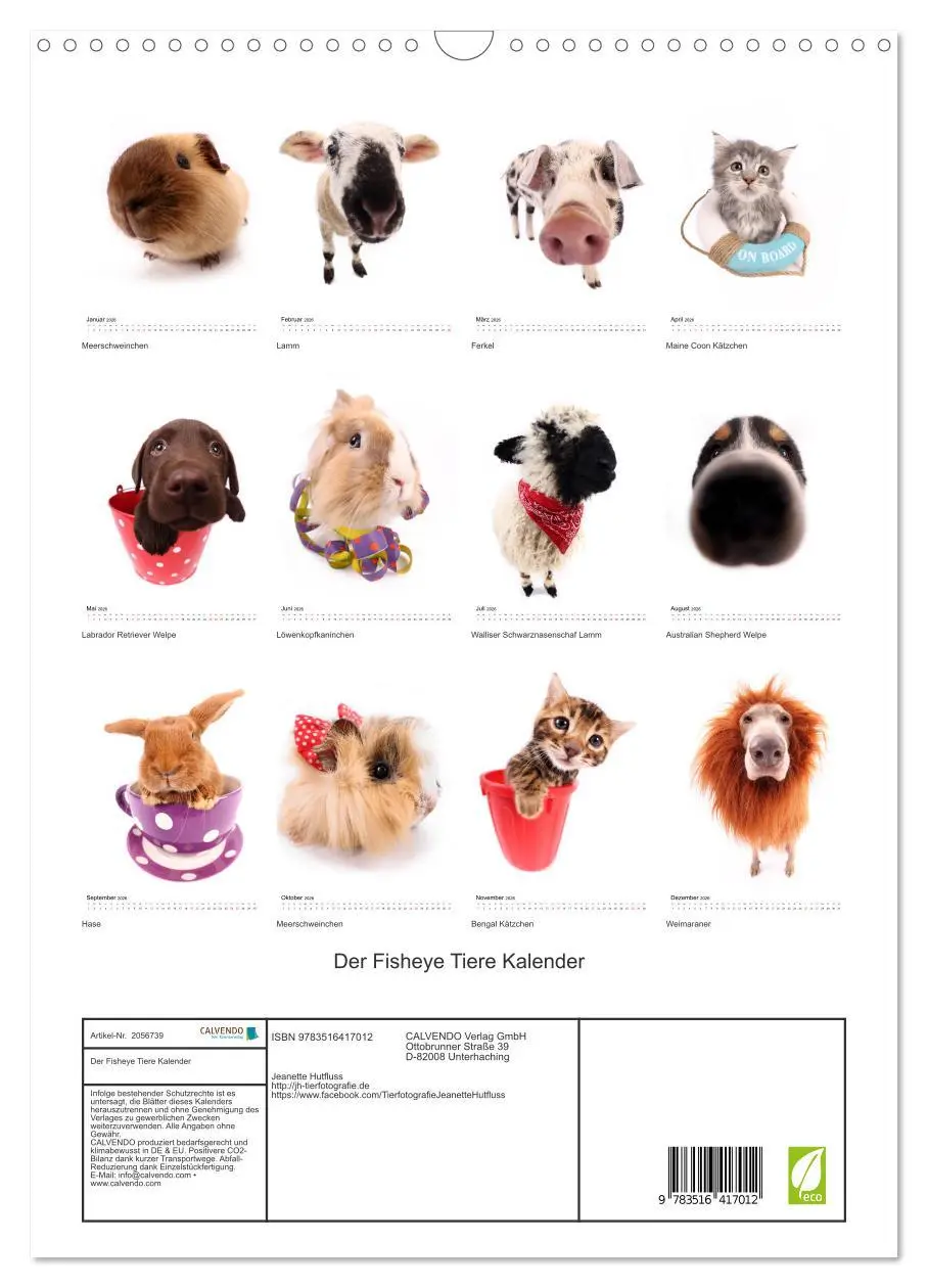 Bild: 9783516417012 | Der Fisheye Tiere Kalender (Wandkalender 2026 DIN A3 hoch),...