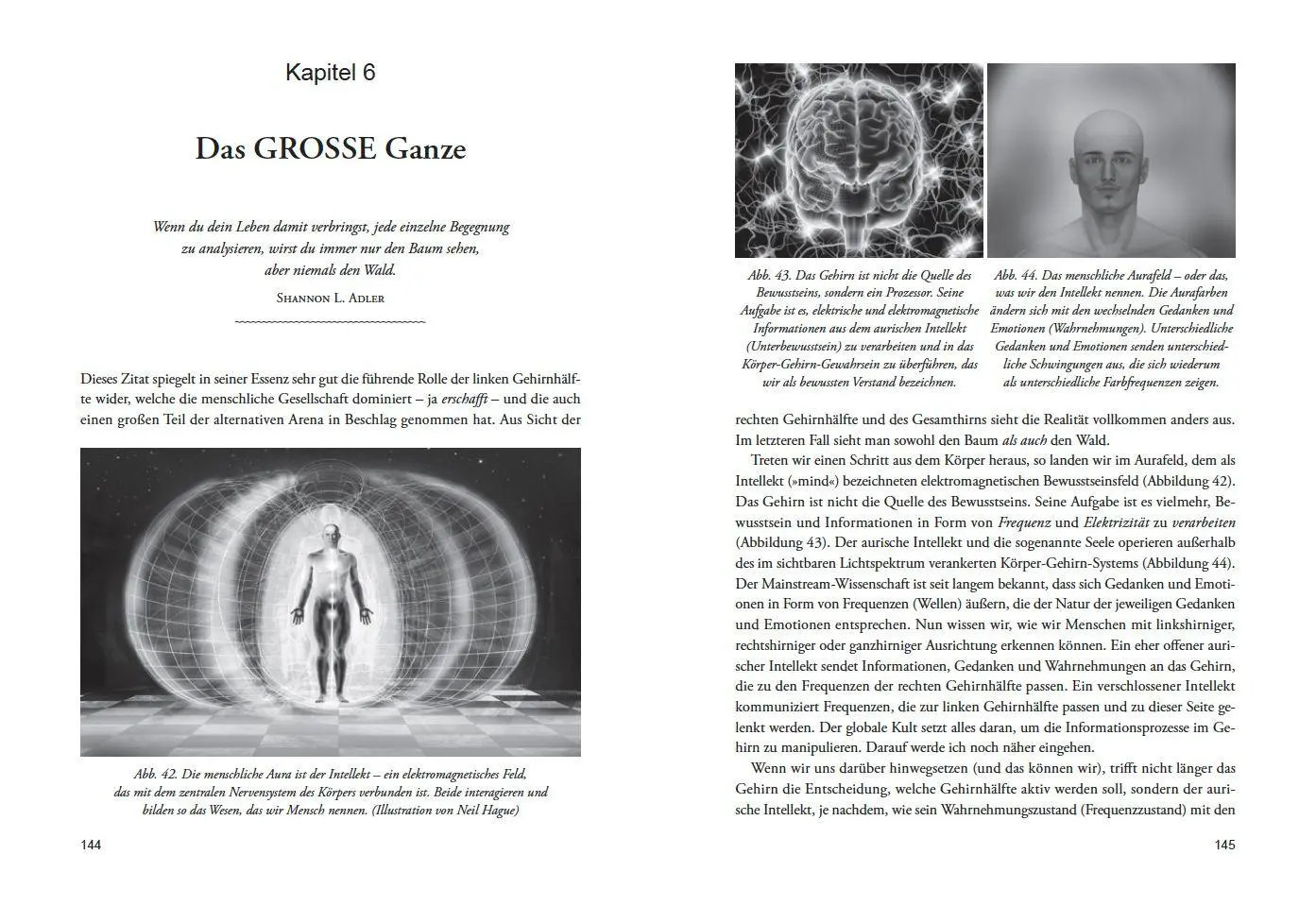 Bild: 9783954477012 | DIE ENTHÜLLUNG: Die nächste Stufe des menschlichen Bewusstseins | Icke