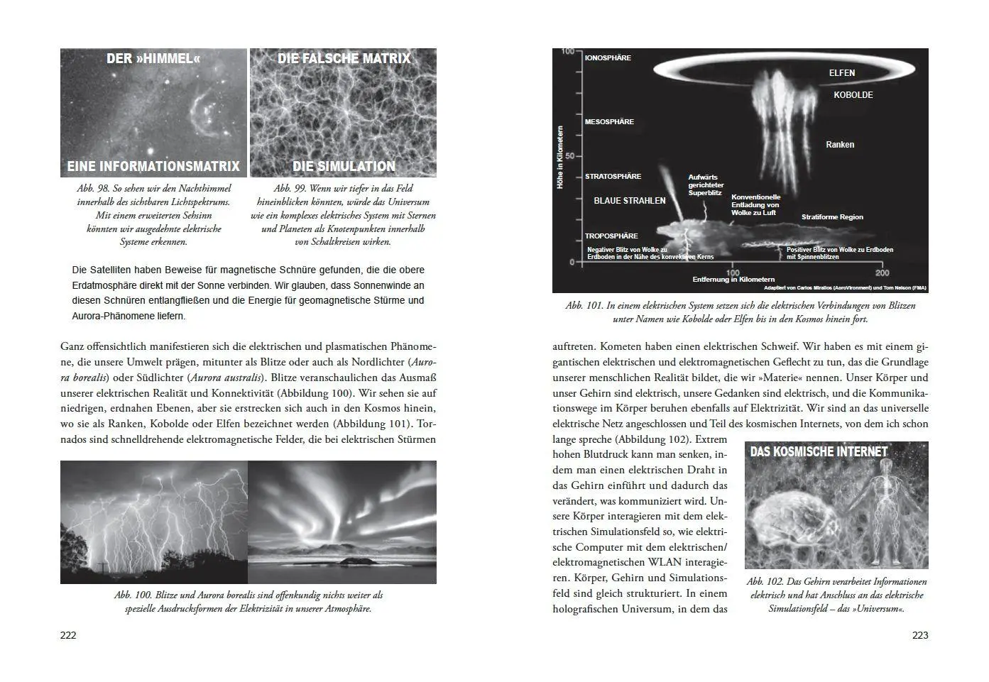 Bild: 9783954477012 | DIE ENTHÜLLUNG: Die nächste Stufe des menschlichen Bewusstseins | Icke