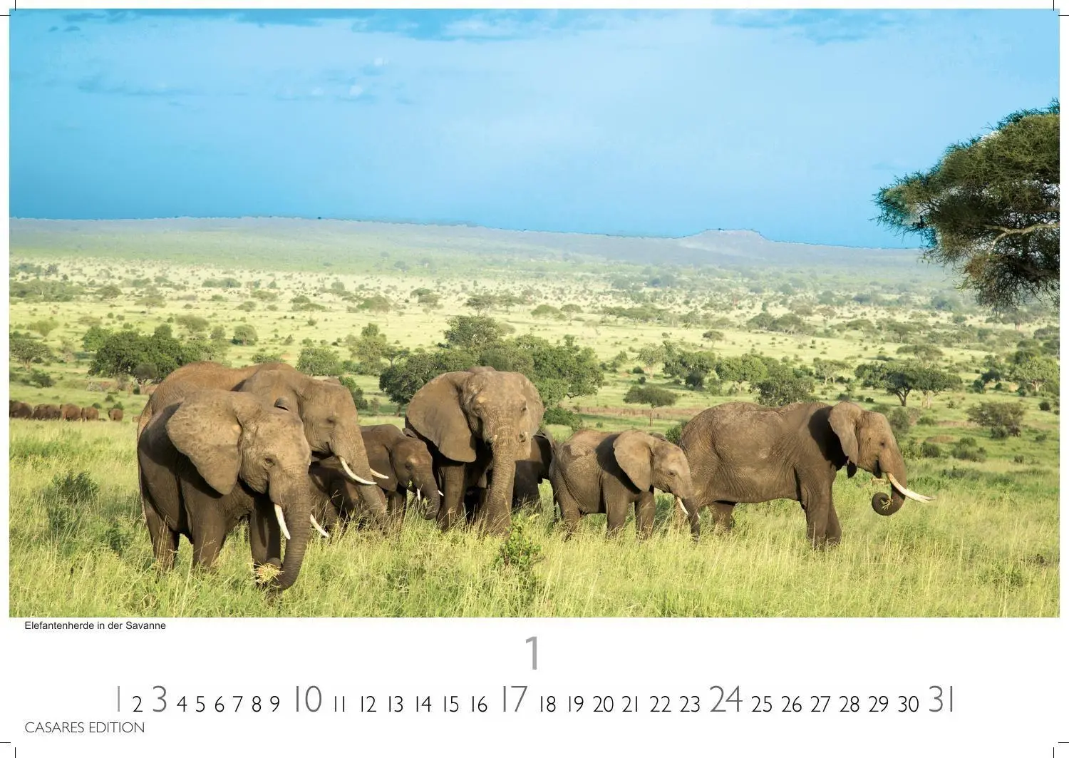 Bild: 9781835247112 | Südafrika Kalender 2027 - Wandkalender Fotokalender Afrika 35x50cm...