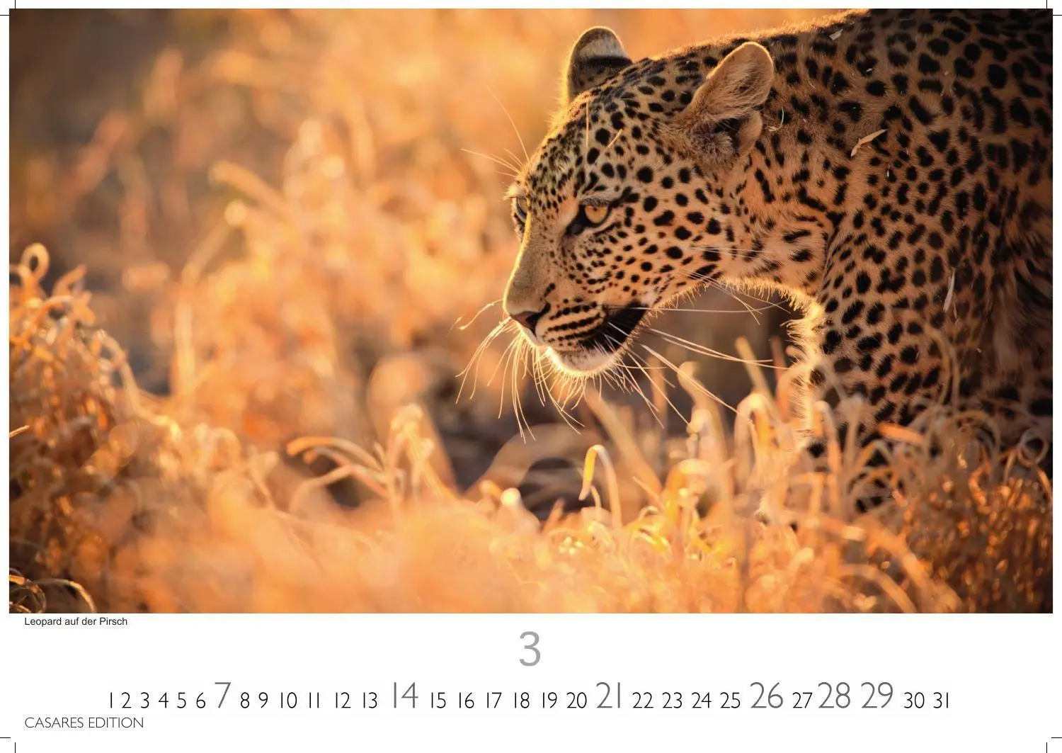 Bild: 9781835247112 | Südafrika Kalender 2027 - Wandkalender Fotokalender Afrika 35x50cm...