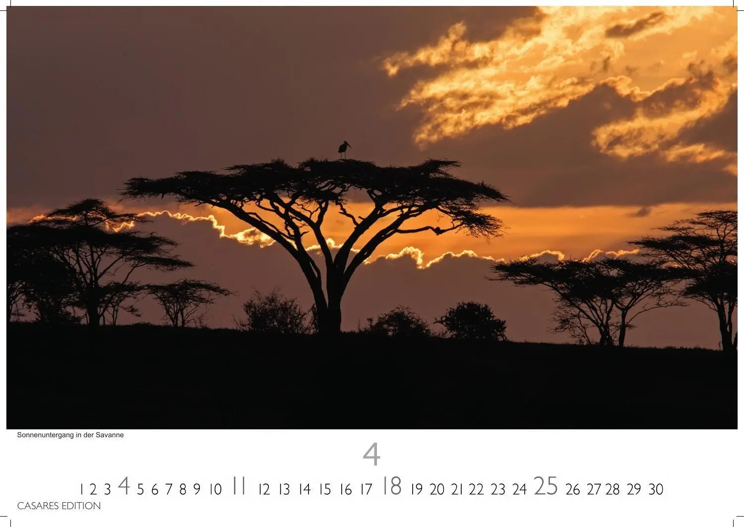 Bild: 9781835247112 | Südafrika Kalender 2027 - Wandkalender Fotokalender Afrika 35x50cm...