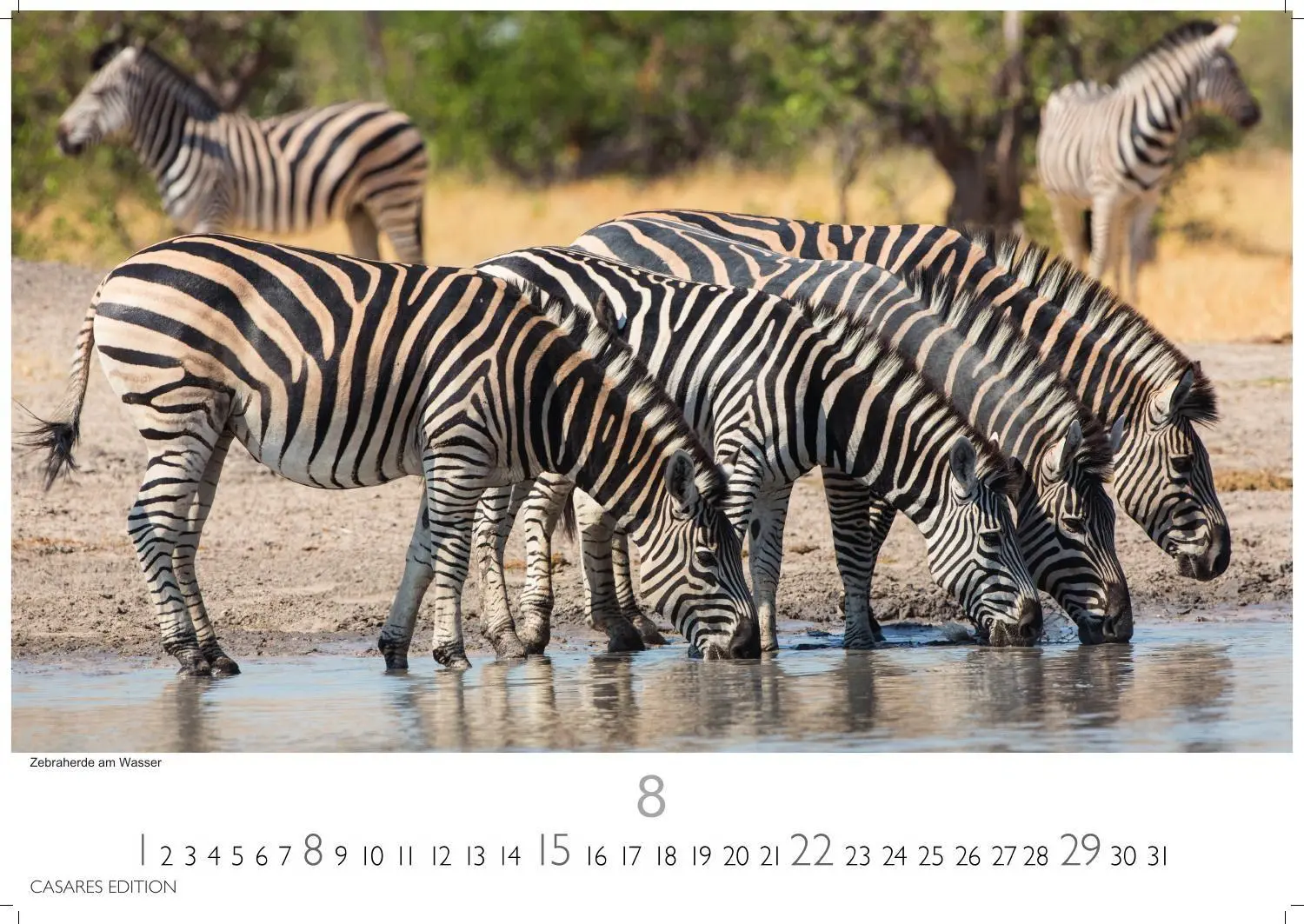 Bild: 9781835247112 | Südafrika Kalender 2027 - Wandkalender Fotokalender Afrika 35x50cm...