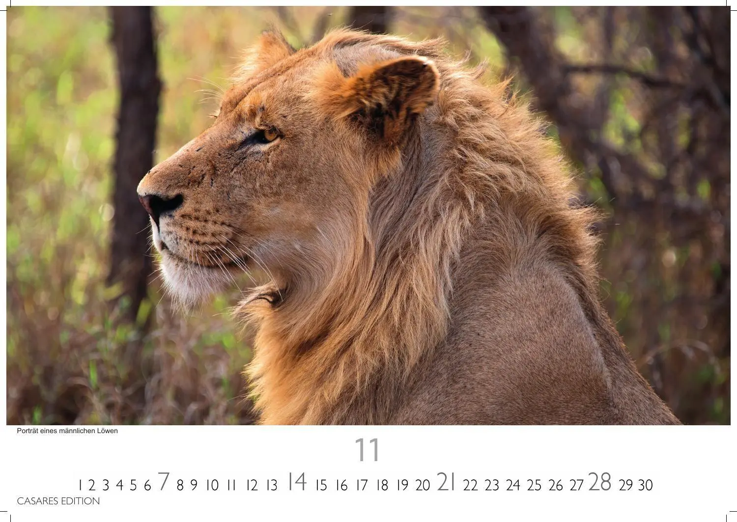 Bild: 9781835247112 | Südafrika Kalender 2027 - Wandkalender Fotokalender Afrika 35x50cm...