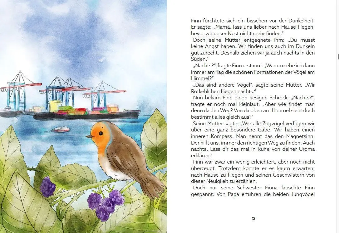 Bild: 9783000687112 | Finn fliegt nach Italien | Anja Carola Stiebeling | Buch | Deutsch