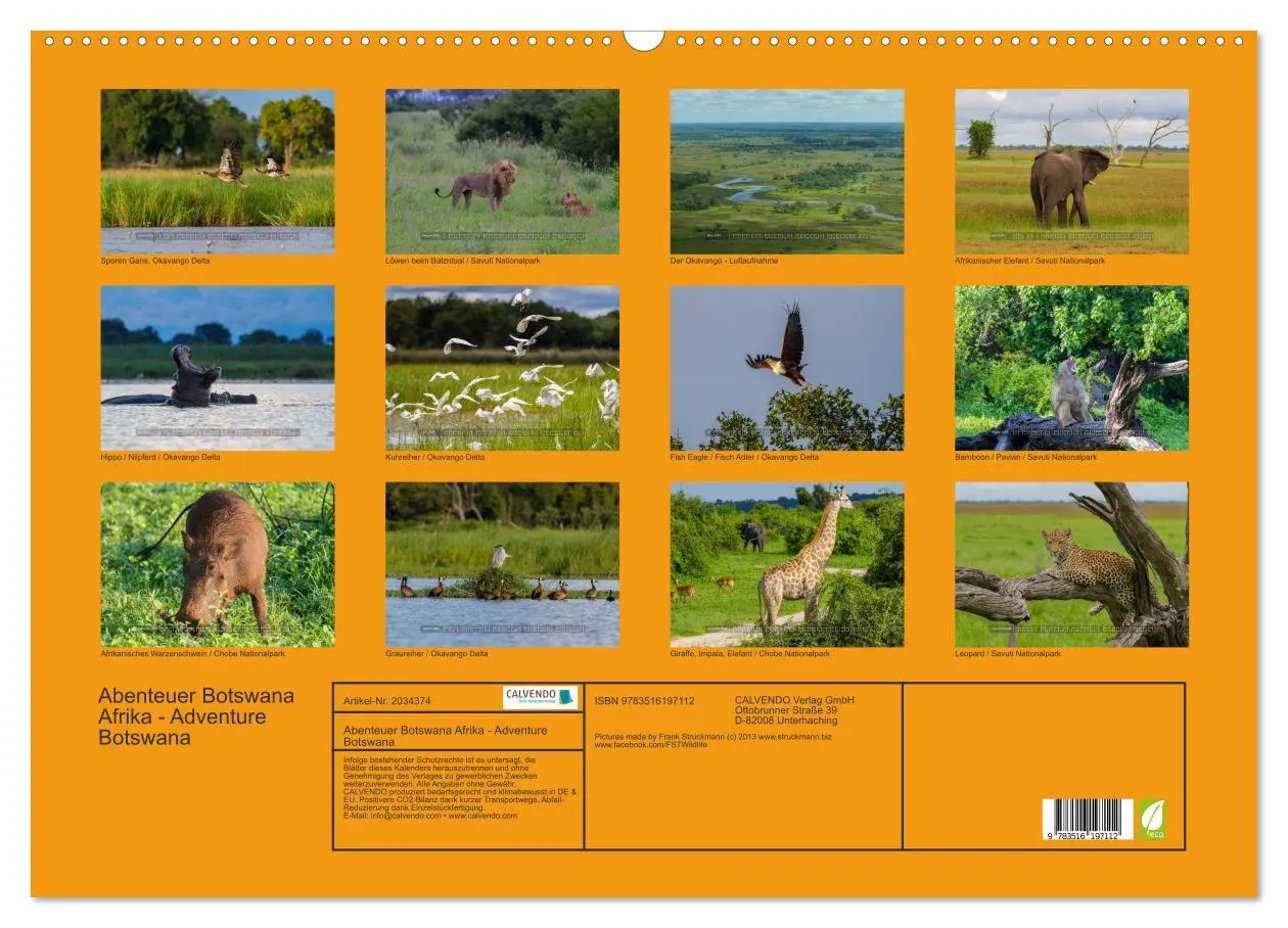 Bild: 9783516197112 | Abenteuer Botswana Afrika - Adventure Botswana (Wandkalender 2026...