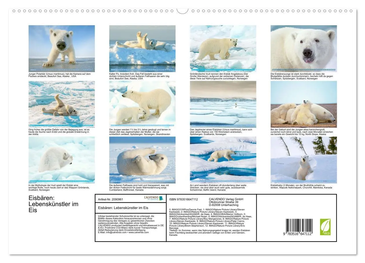Bild: 9783516647112 | Eisbären: Lebenskünstler im Eis (hochwertiger Premium Wandkalender...