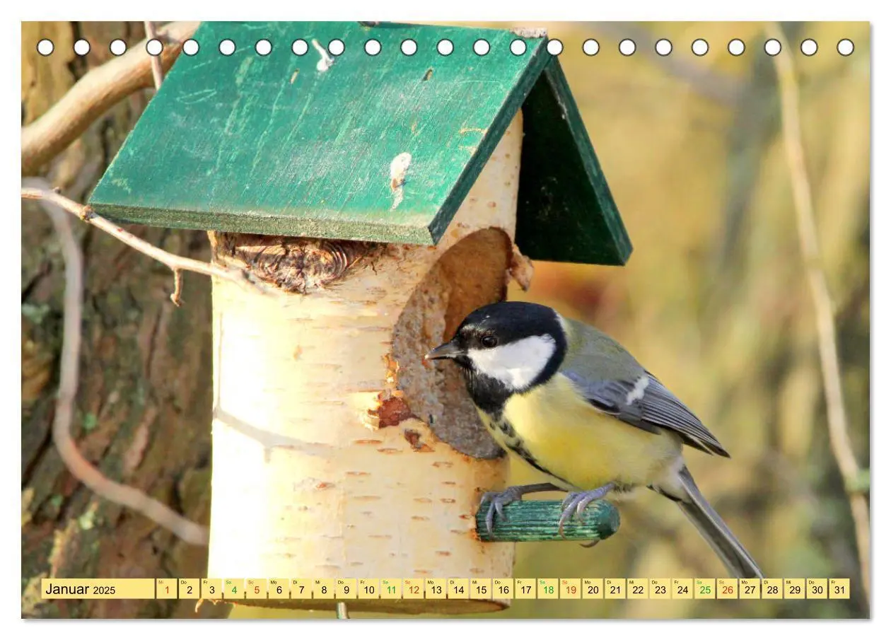 Bild: 9783435147212 | Gefiederte Gesellen - Vögel aus Wald und Garten (Tischkalender 2025...