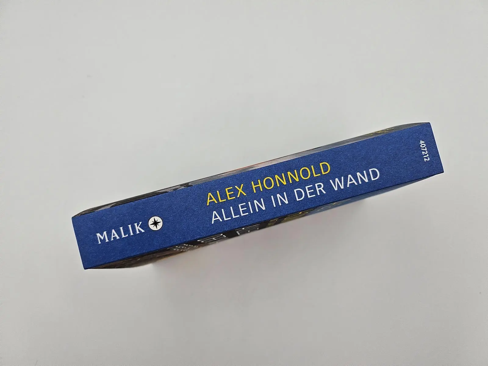 Bild: 9783492407212 | Allein in der Wand - Free Solo | Alex Honnold | Taschenbuch | 368 S.