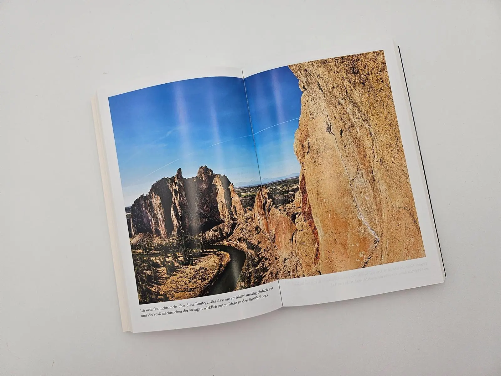 Bild: 9783492407212 | Allein in der Wand - Free Solo | Alex Honnold | Taschenbuch | 368 S.