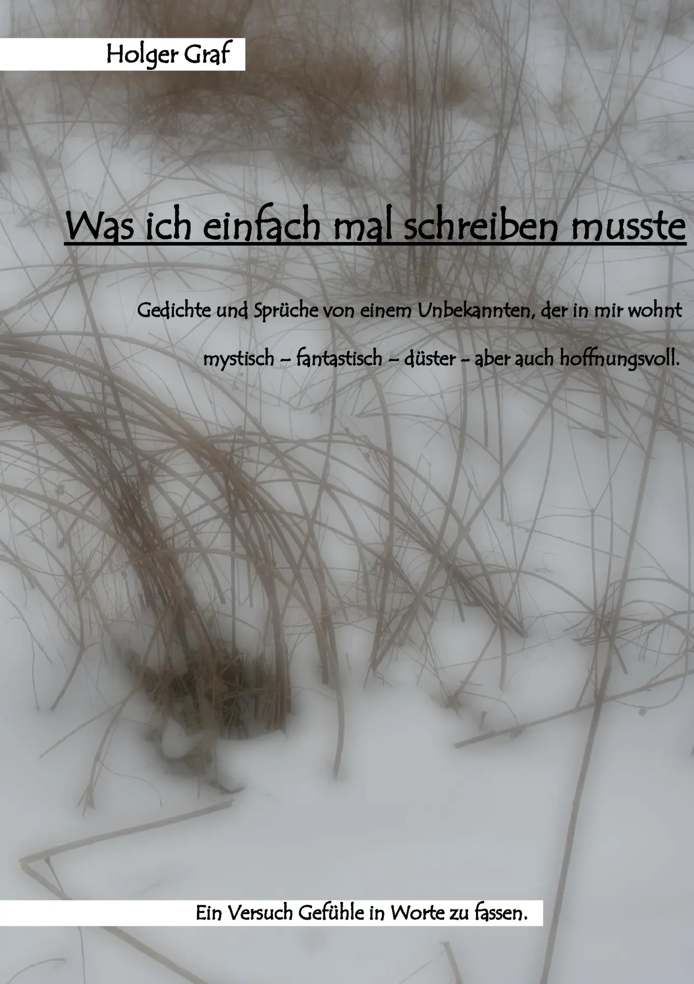 Cover: 9783839167212 | Was ich einfach mal schreiben musste | Holger Graf | Taschenbuch
