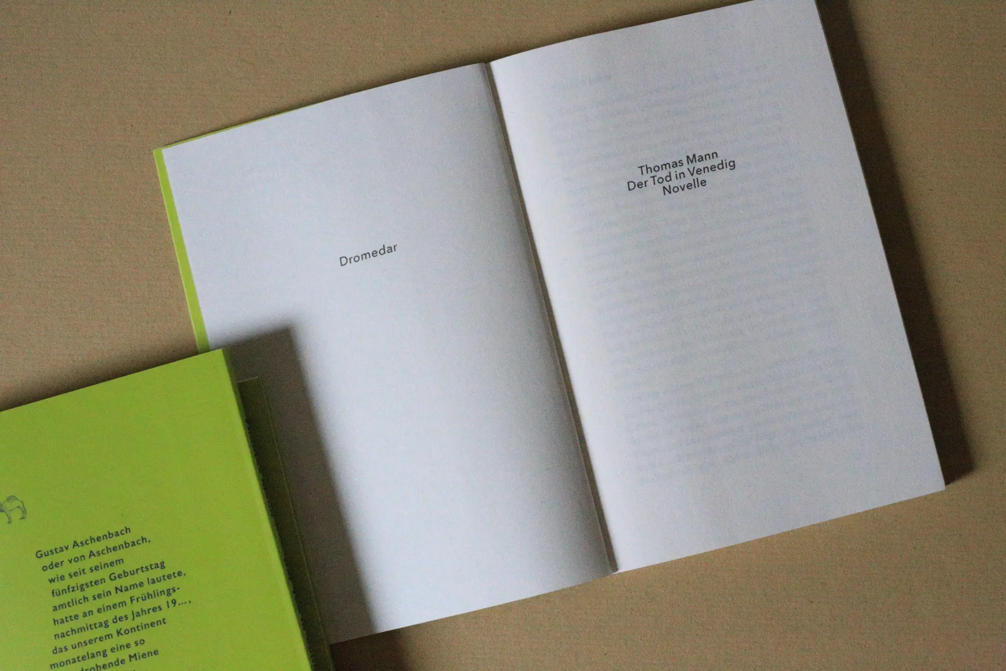 Bild: 9783911717212 | Der Tod in Venedig | Thomas Mann | Taschenbuch | 120 S. | Deutsch