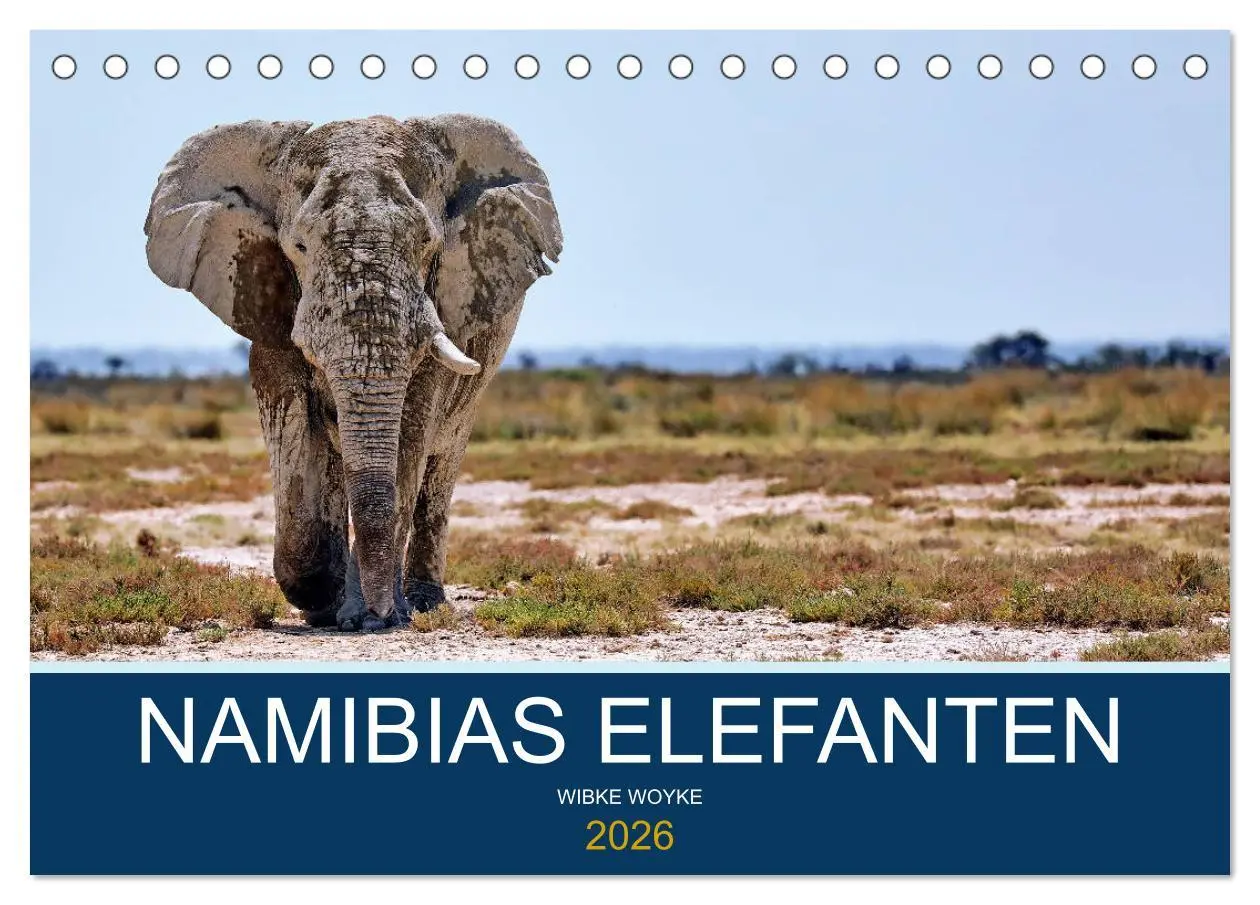 Cover: 9783457777312 | Namibias Elefanten (Tischkalender 2026 DIN A5 quer), CALVENDO...