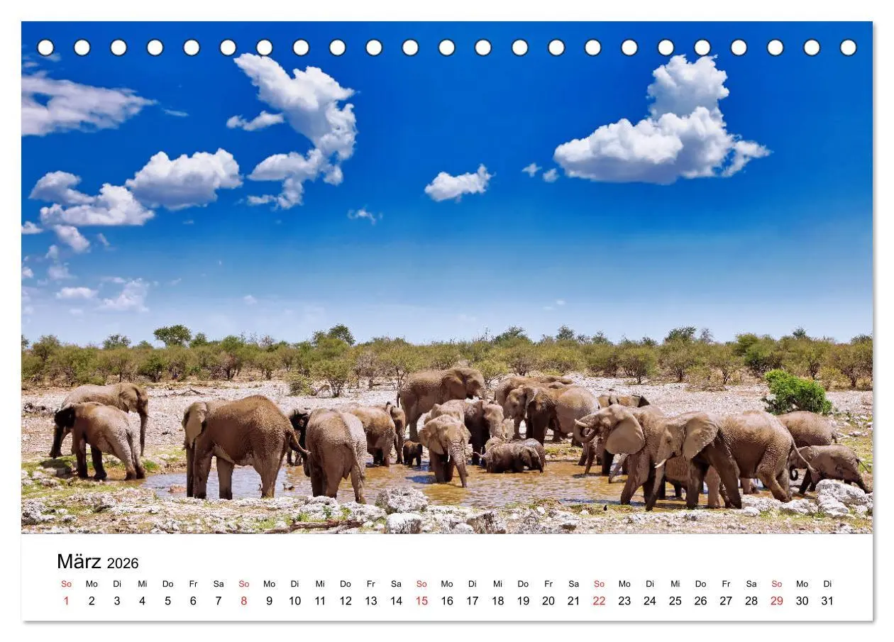 Bild: 9783457777312 | Namibias Elefanten (Tischkalender 2026 DIN A5 quer), CALVENDO...