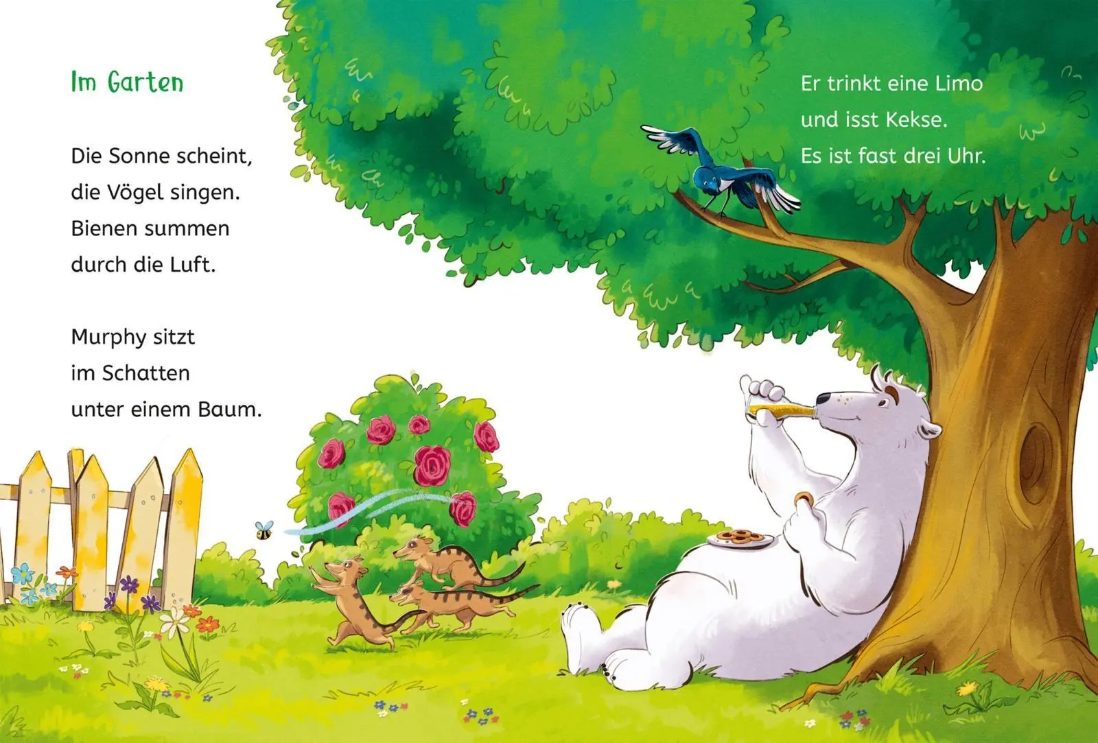 Bild: 9783551657312 | Die Schule der magischen Tiere ermittelt Neuausgabe 1: Der grüne...