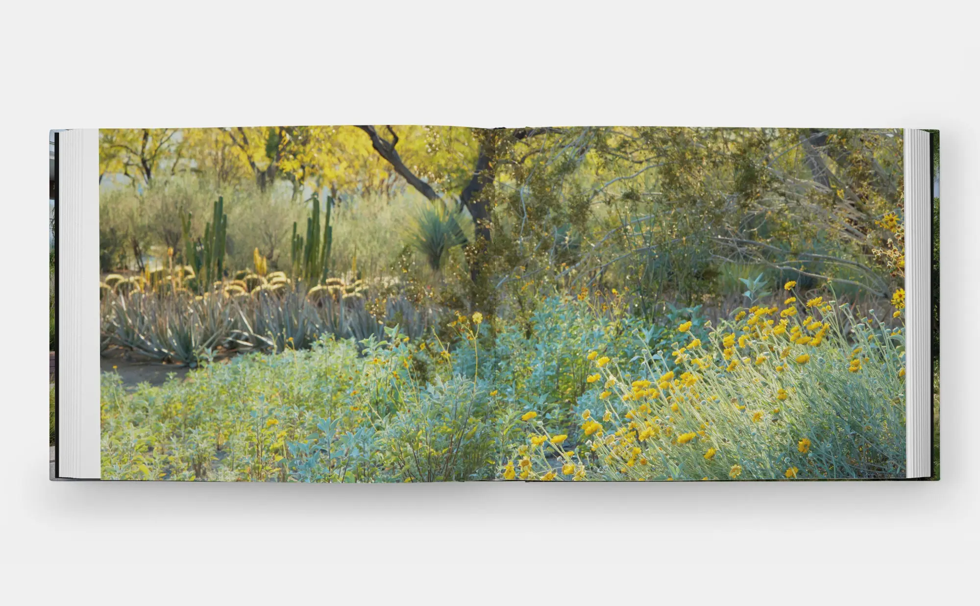 Bild: 9781580937412 | Envisioning Landscapes | The Transformative Environments of OJB | Buch