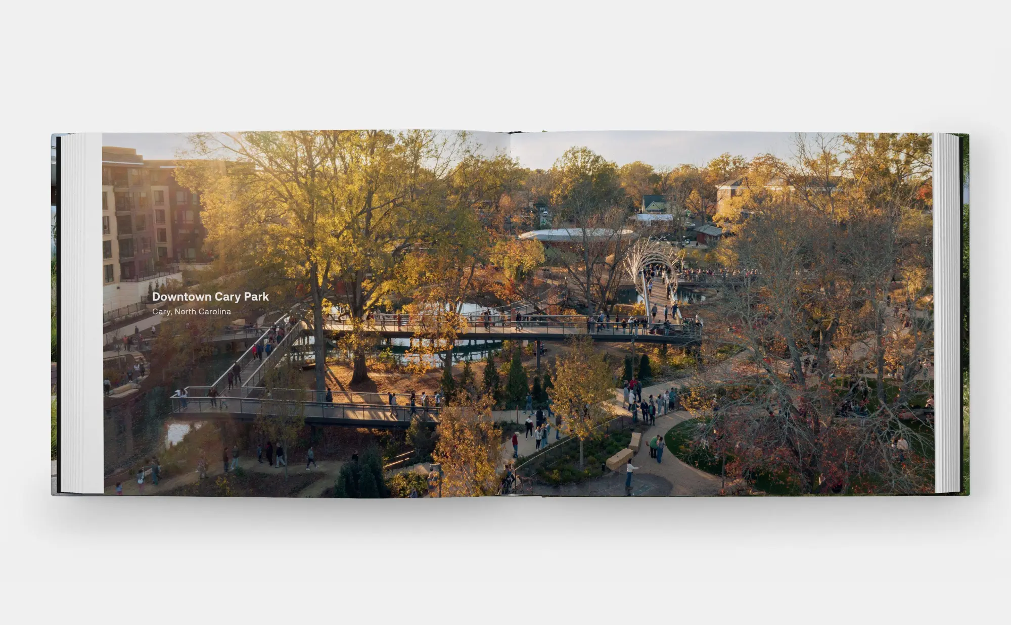 Bild: 9781580937412 | Envisioning Landscapes | The Transformative Environments of OJB | Buch