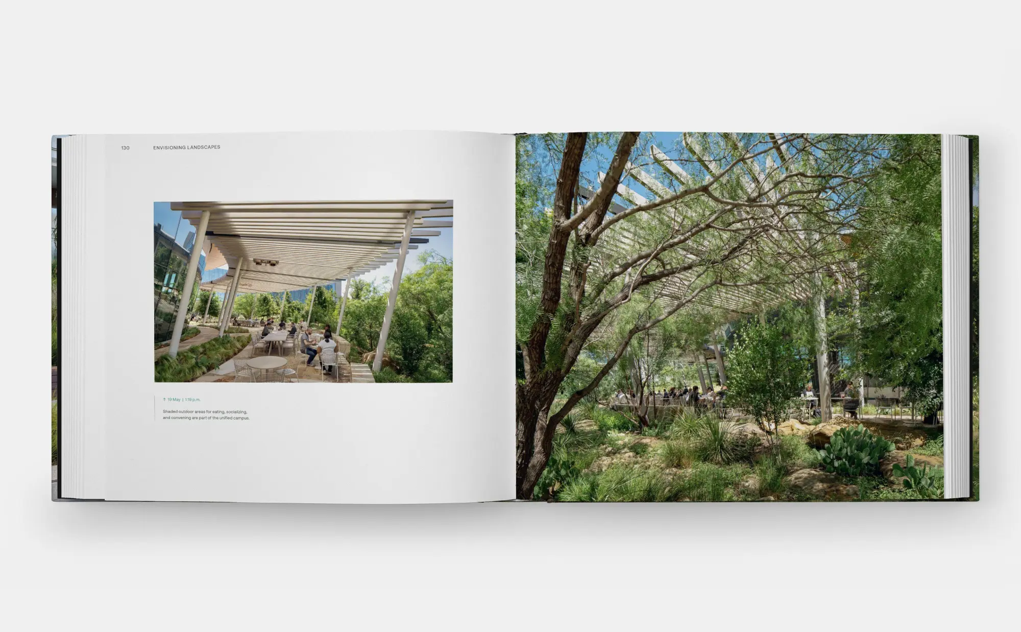 Bild: 9781580937412 | Envisioning Landscapes | The Transformative Environments of OJB | Buch