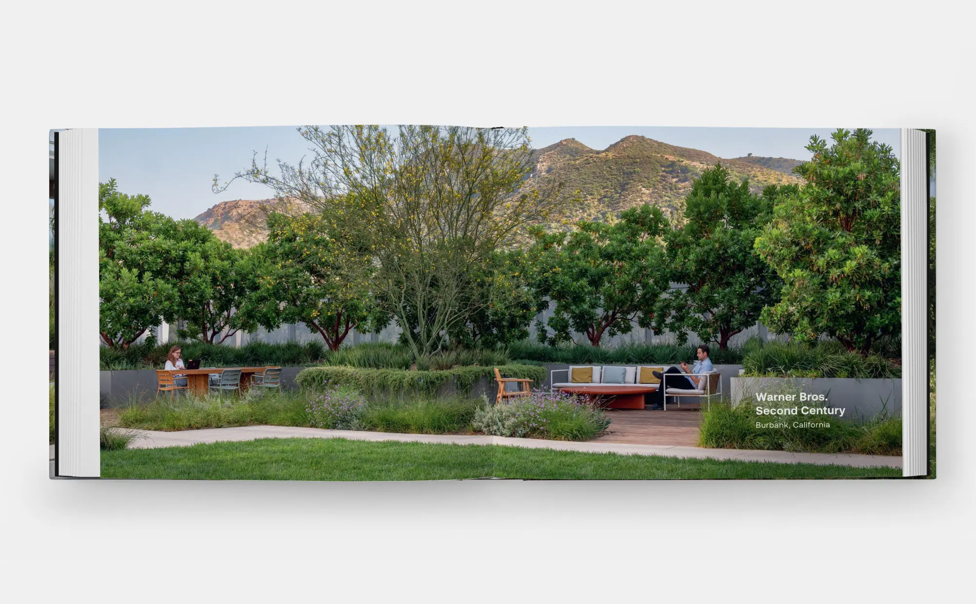 Bild: 9781580937412 | Envisioning Landscapes | The Transformative Environments of OJB | Buch