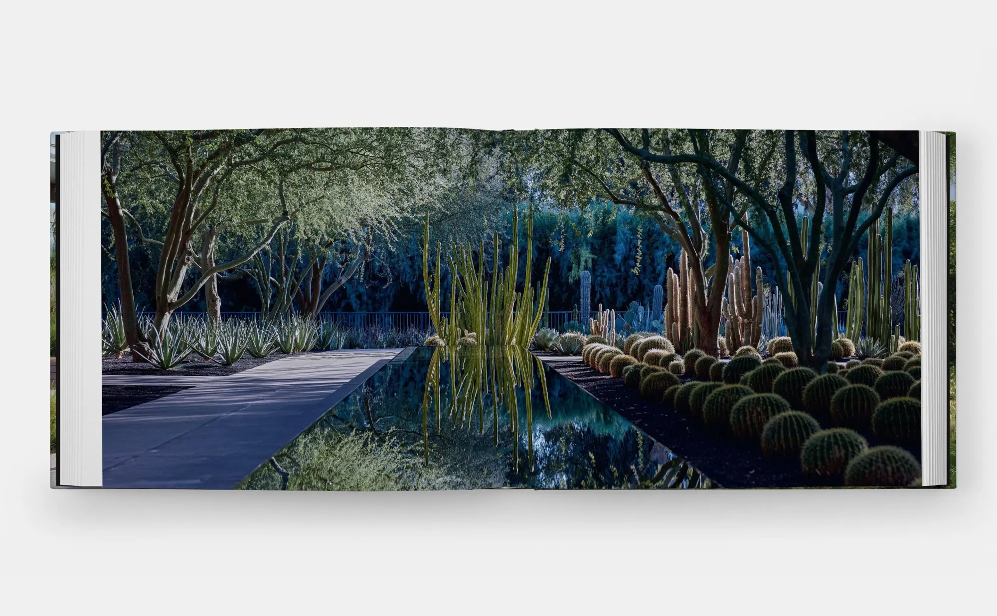 Bild: 9781580937412 | Envisioning Landscapes | The Transformative Environments of OJB | Buch