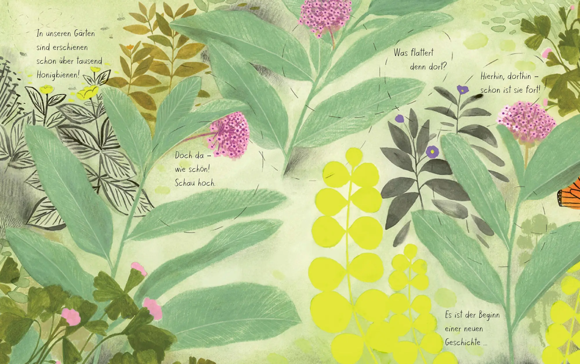 Bild: 9783314107412 | Der Schmetterling | Kirsten Hall | Buch | 48 S. | Deutsch | 2026