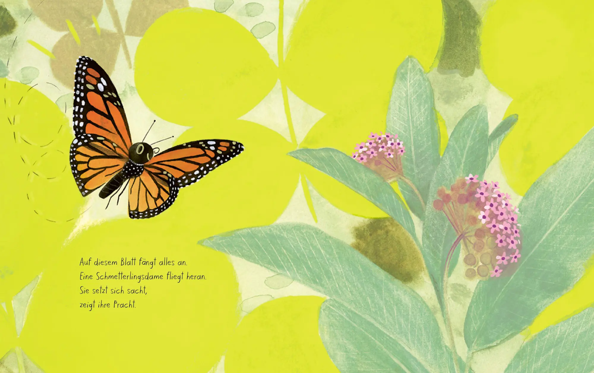 Bild: 9783314107412 | Der Schmetterling | Kirsten Hall | Buch | 48 S. | Deutsch | 2026