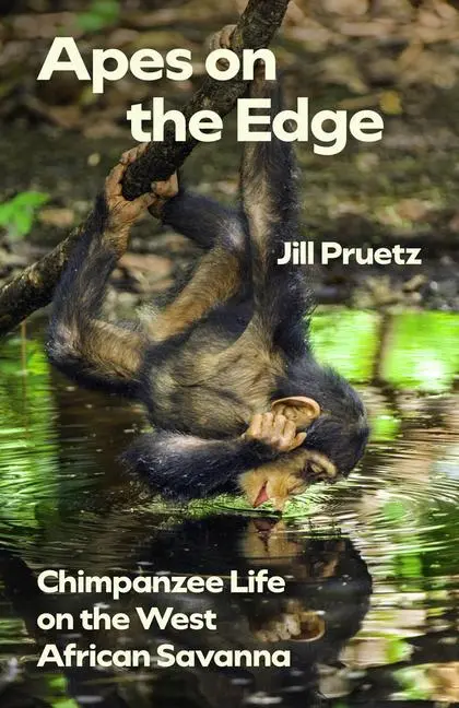 Cover: 9780226837512 | Apes on the Edge | Chimpanzee Life on the West African Savanna | Buch