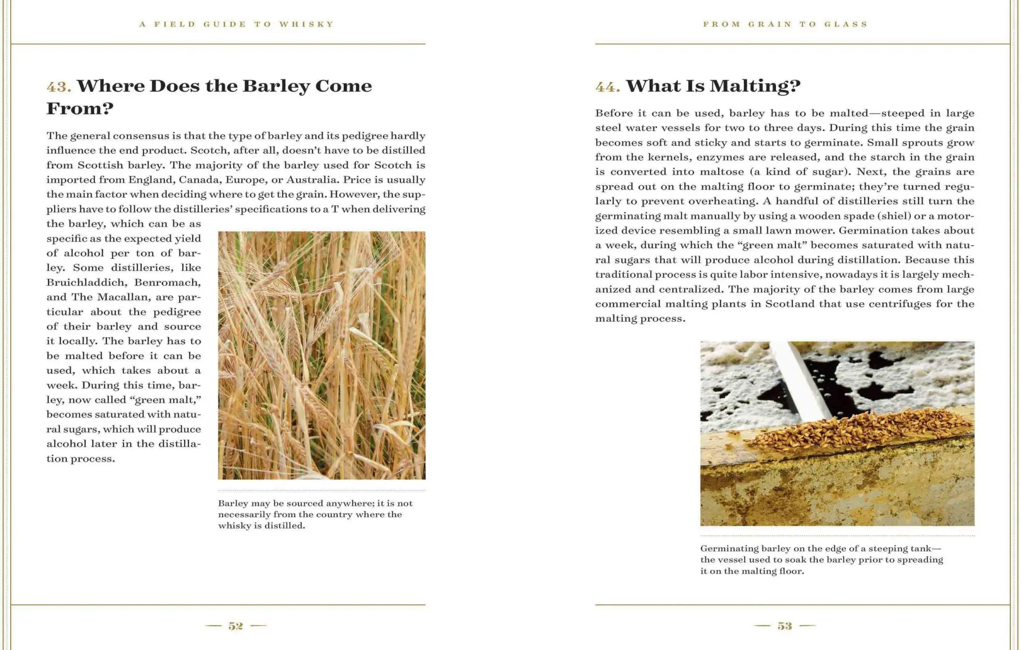 Bild: 9781579657512 | A Field Guide to Whisky | Hans Offringa | Buch | Gebunden | Englisch