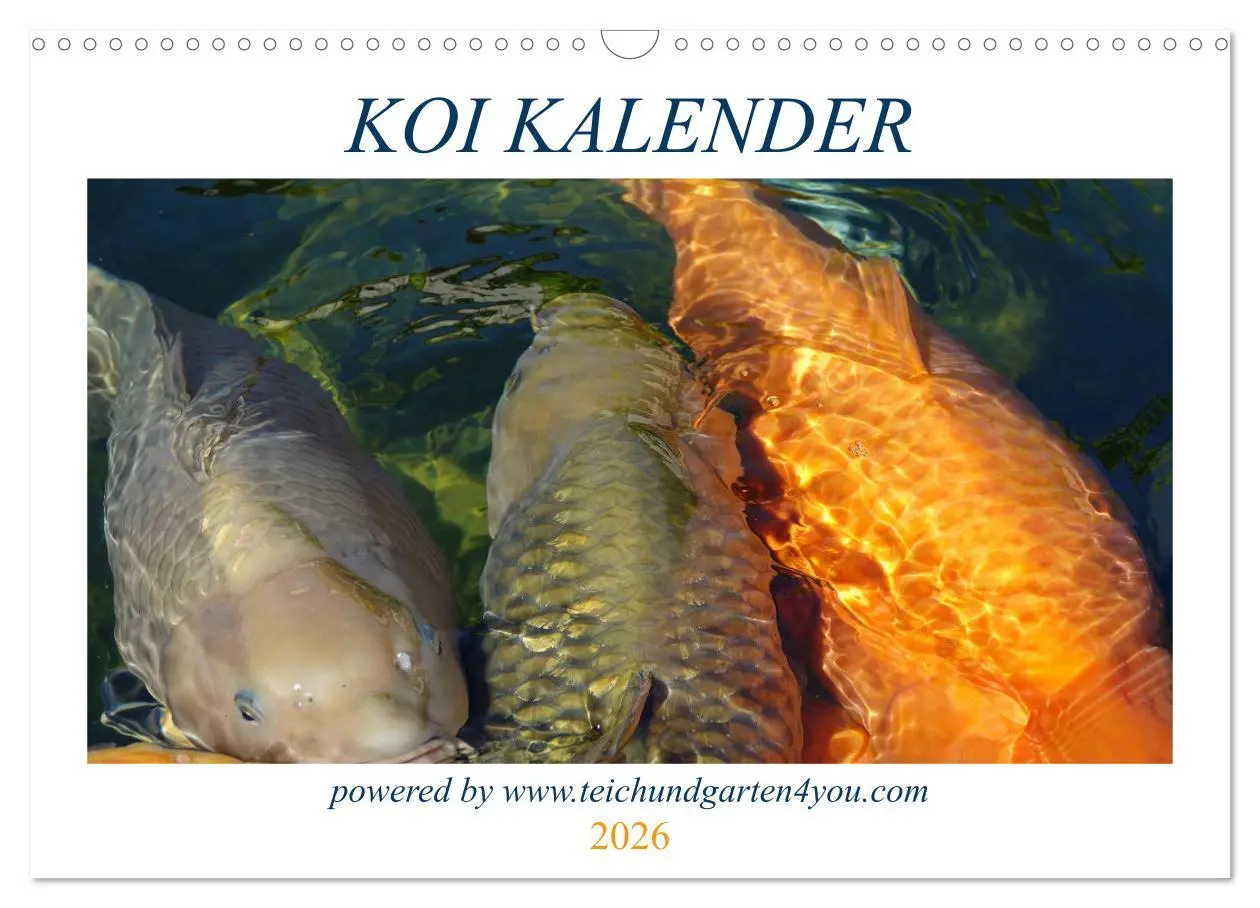 Cover: 9783457747612 | Koikichi Kalender 2026 (Wandkalender 2026 DIN A3 quer), CALVENDO...