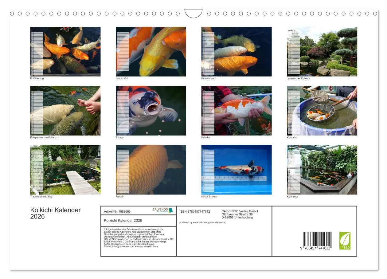 Bild: 9783457747612 | Koikichi Kalender 2026 (Wandkalender 2026 DIN A3 quer), CALVENDO...