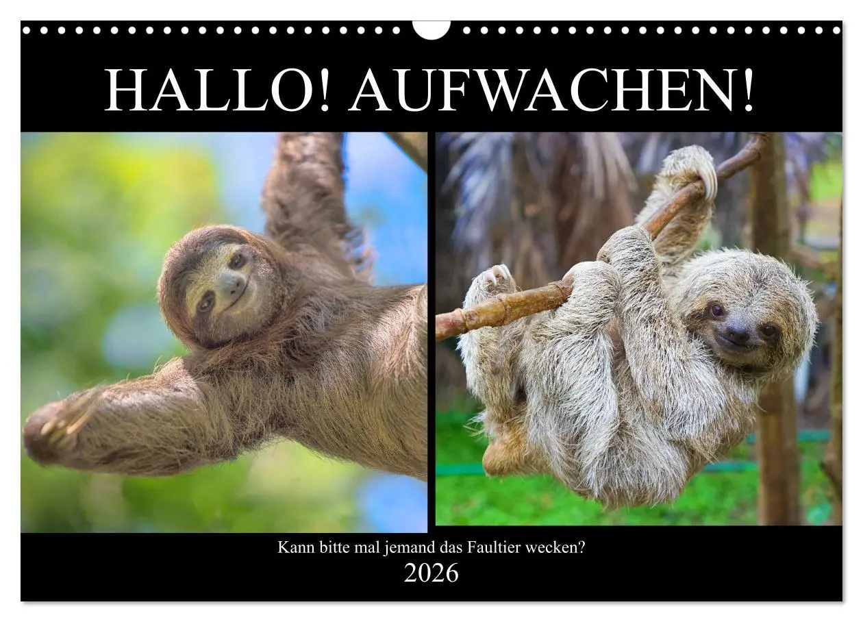 Cover: 9783457817612 | Hallo! Aufwachen! Kann bitte mal jemand das Faultier wecken?...