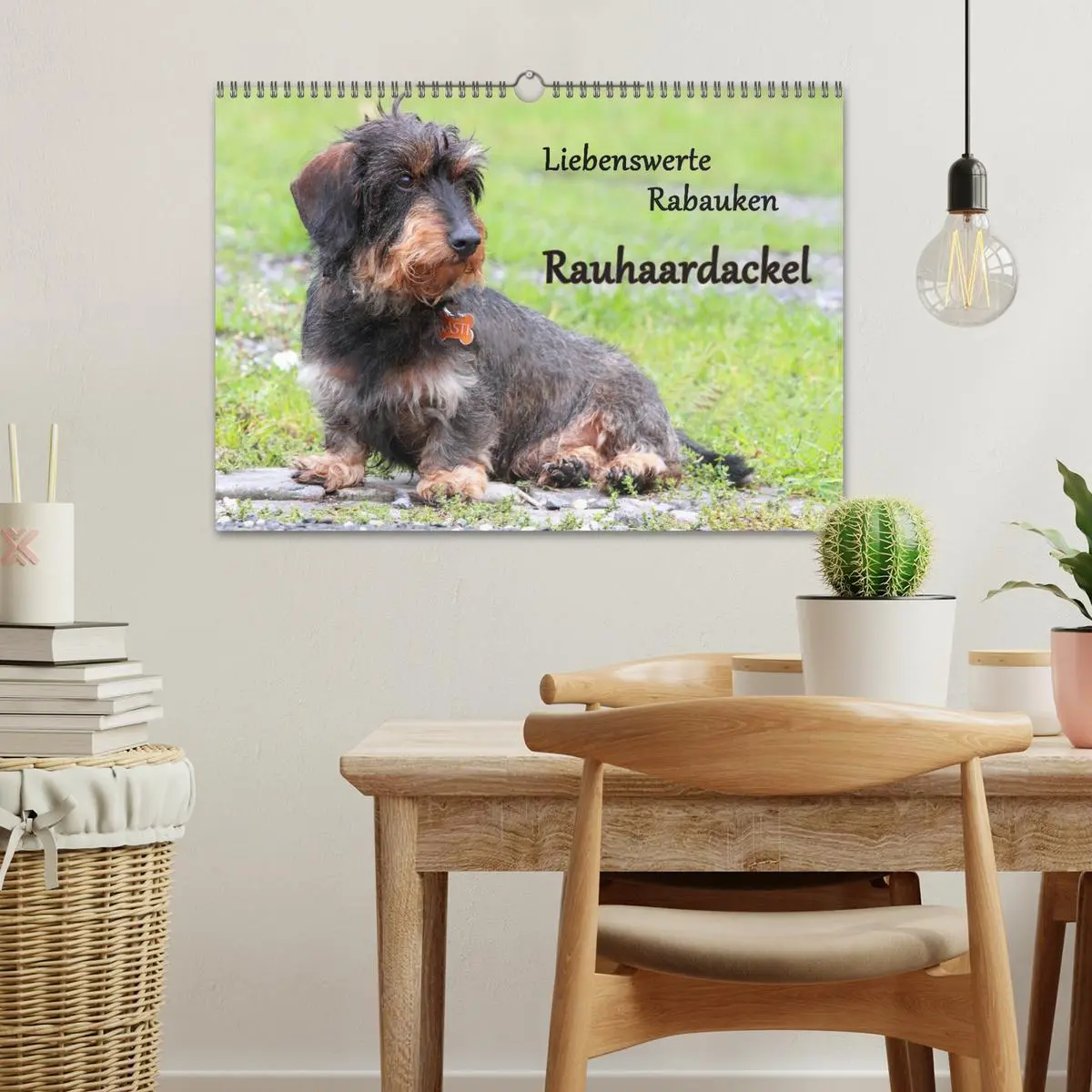 Bild: 9783516147612 | Liebenswerte Rabauken Rauhaardackel / CH-Version (Wandkalender 2026...