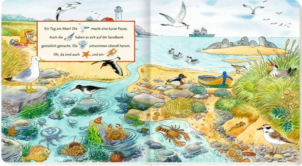 Bild: 9783649667612 | Meine ersten Wimmelbilder | Bei den Tieren | Sybille Brauer | Buch