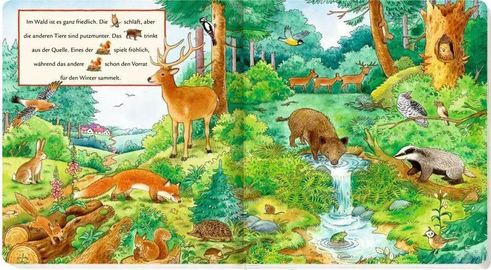 Bild: 9783649667612 | Meine ersten Wimmelbilder | Bei den Tieren | Sybille Brauer | Buch