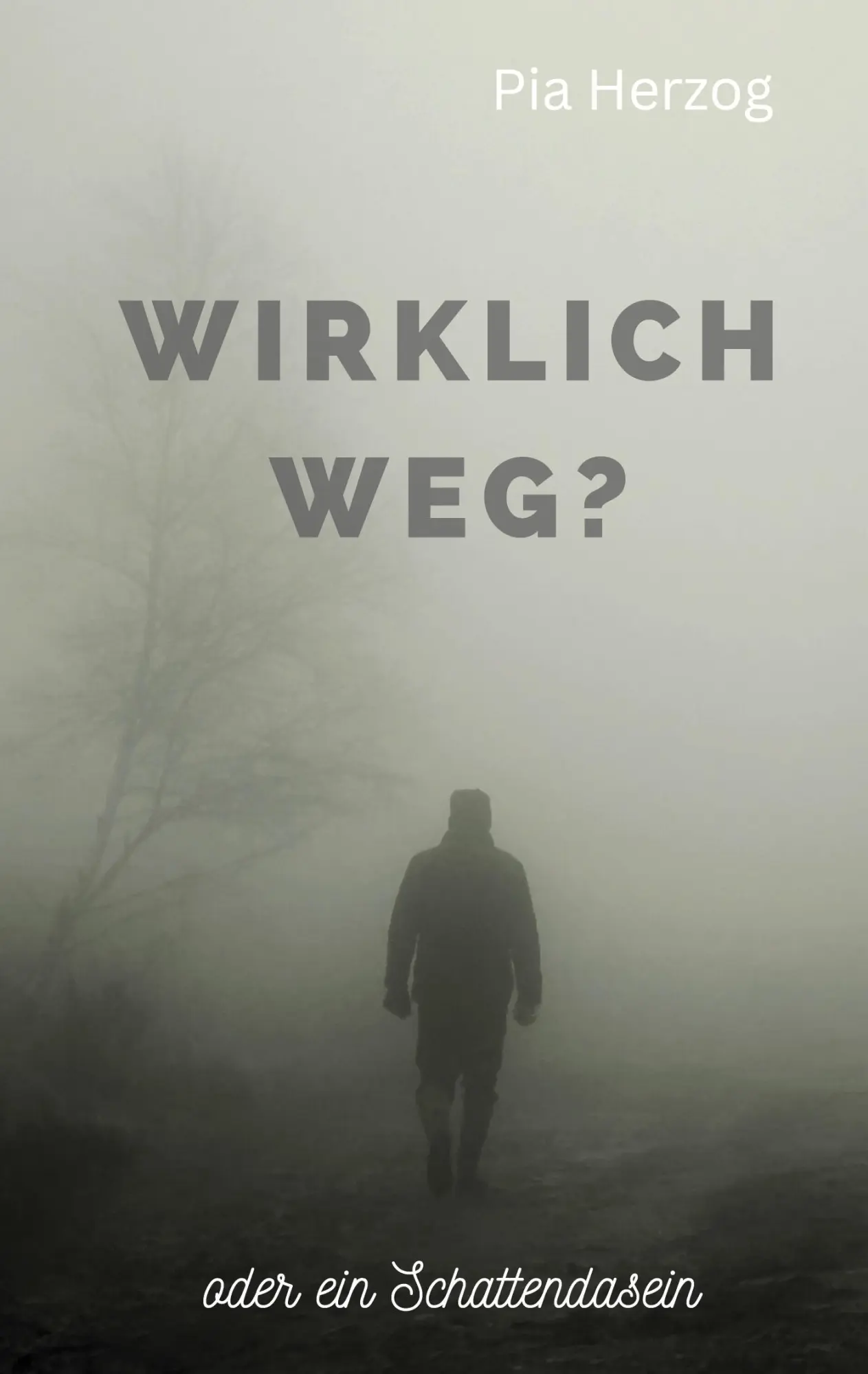 Cover: 9783985277612 | Wirklich Weg? | oder ein Schattendasein | Pia Herzog | Taschenbuch