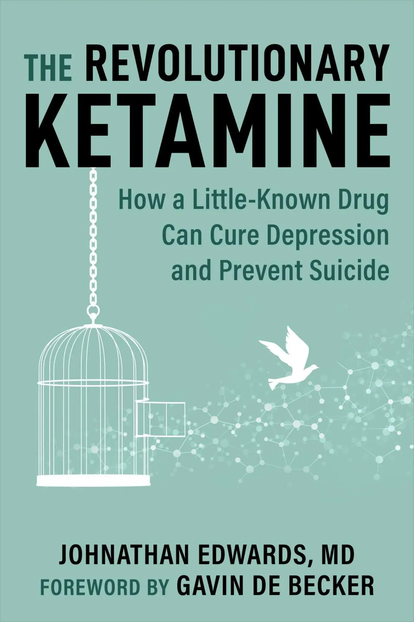 Cover: 9781510777712 | The Revolutionary Ketamine | Johnathan Edwards | Taschenbuch | 2023