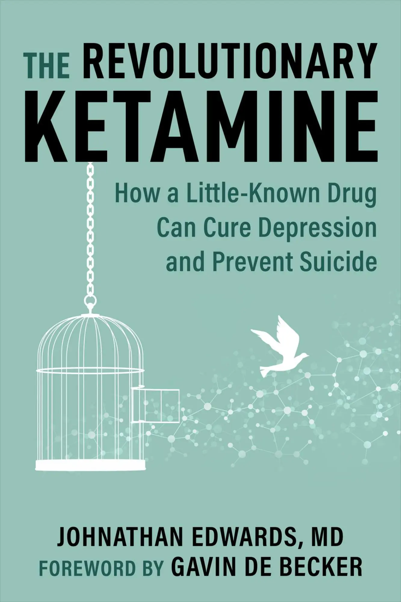Bild: 9781510777712 | The Revolutionary Ketamine | Johnathan Edwards | Taschenbuch | 2023
