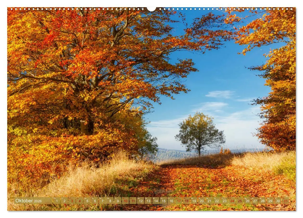 Bild: 9783457737712 | Wege zur Entspannung 2026 (Wandkalender 2026 DIN A2 quer), CALVENDO...