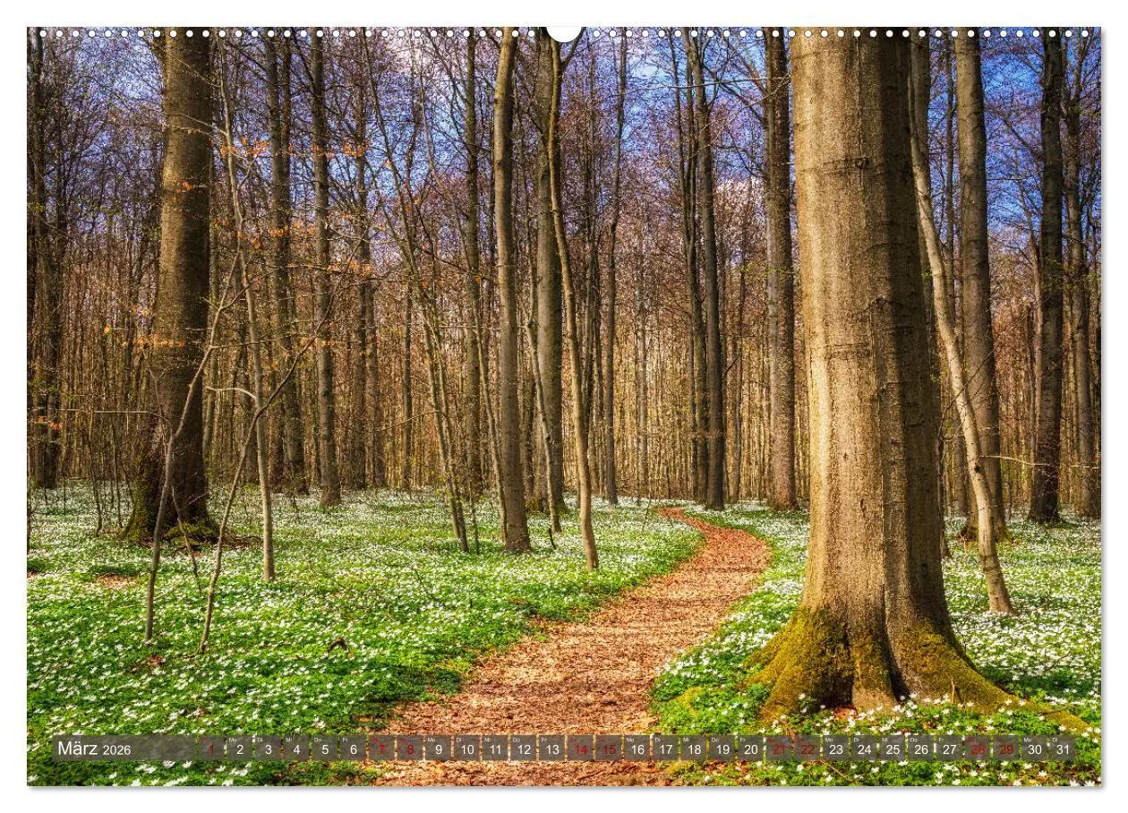 Bild: 9783457737712 | Wege zur Entspannung 2026 (Wandkalender 2026 DIN A2 quer), CALVENDO...