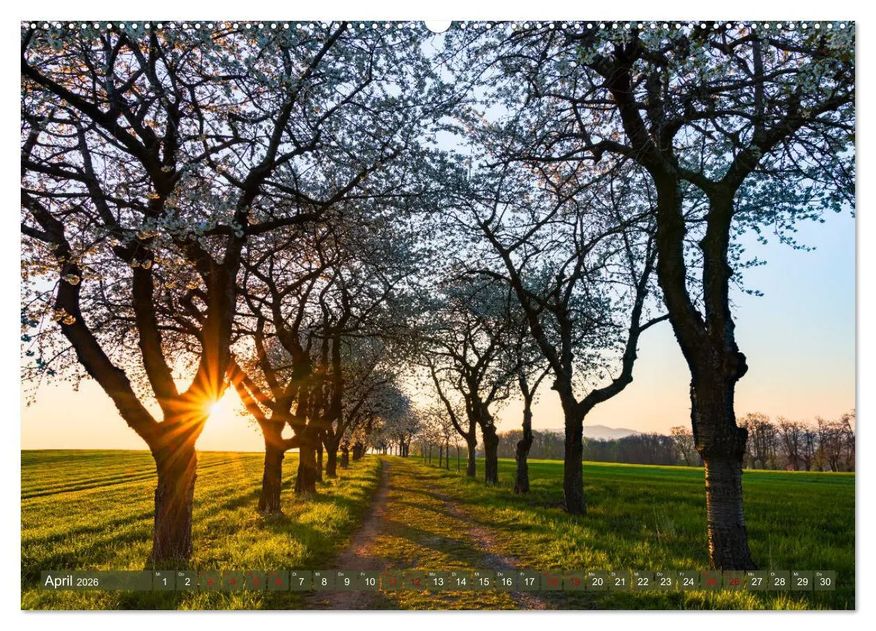 Bild: 9783457737712 | Wege zur Entspannung 2026 (Wandkalender 2026 DIN A2 quer), CALVENDO...