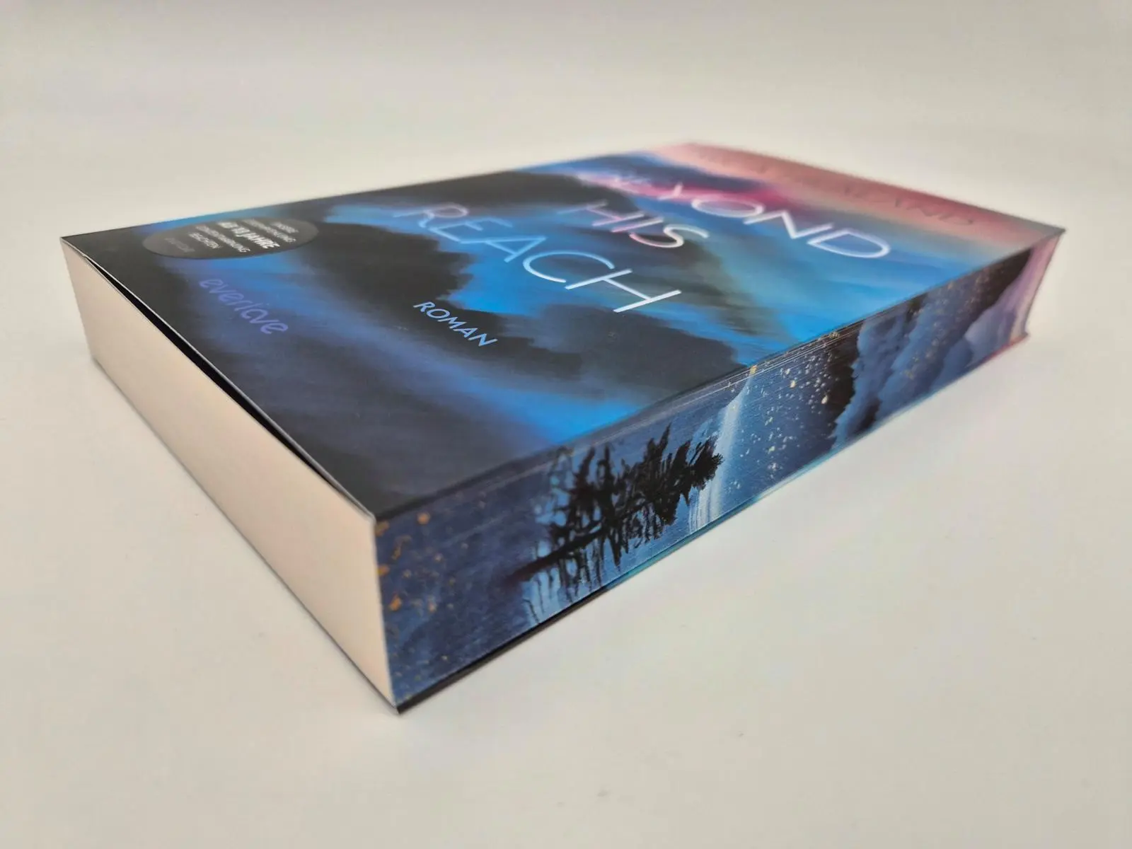 Bild: 9783492067812 | Beyond his Reach | Mica Healand | Taschenbuch | Falcon Dynasty | 2026