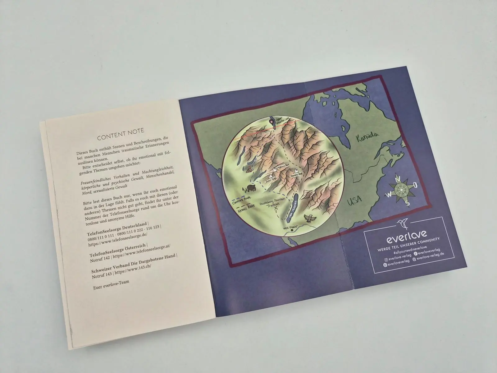 Bild: 9783492067812 | Beyond his Reach | Mica Healand | Taschenbuch | Falcon Dynasty | 2026