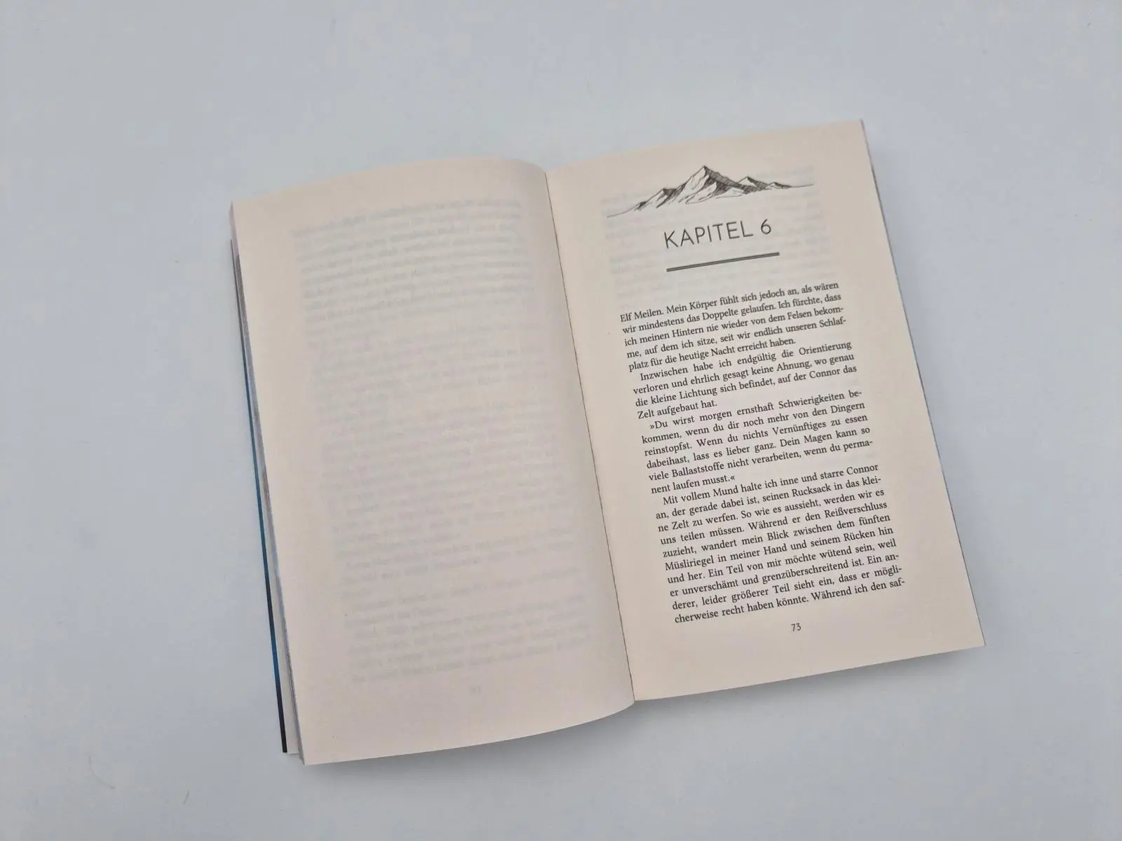 Bild: 9783492067812 | Beyond his Reach | Mica Healand | Taschenbuch | Falcon Dynasty | 2026
