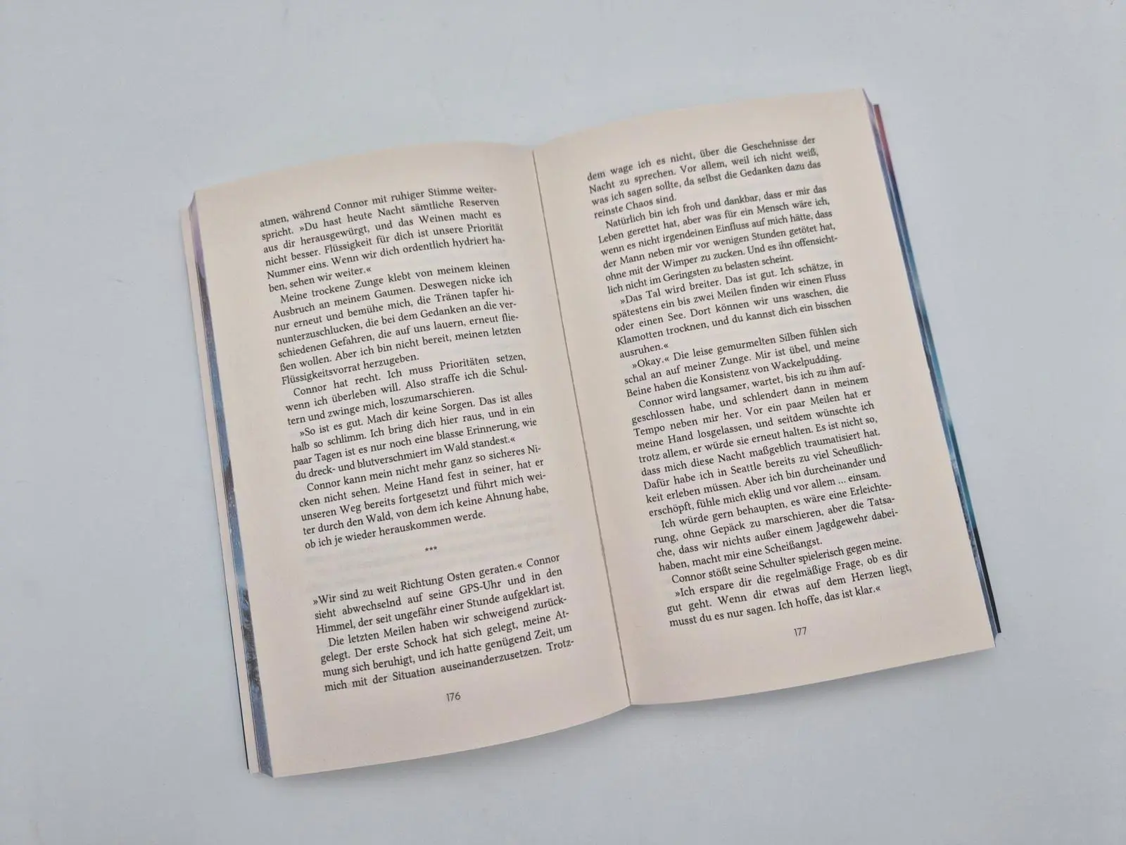 Bild: 9783492067812 | Beyond his Reach | Mica Healand | Taschenbuch | Falcon Dynasty | 2026
