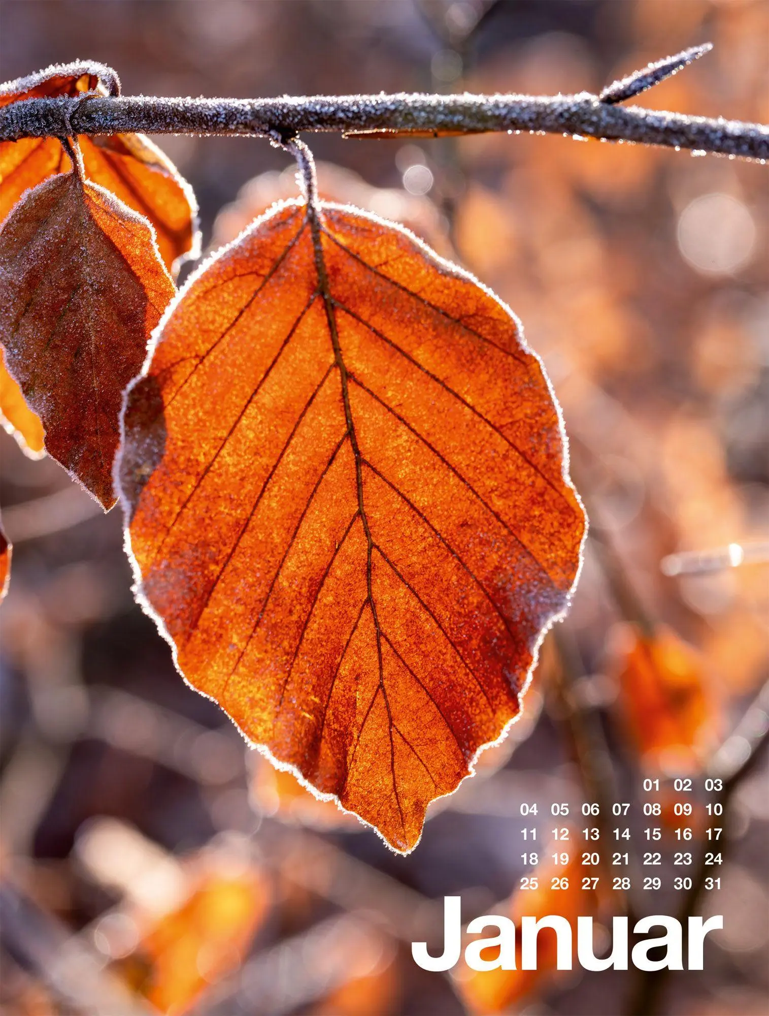 Bild: 9783838427812 | Frühling, Sommer, Herbst &amp; Winter Kalender 2027 | GmbH | Kalender